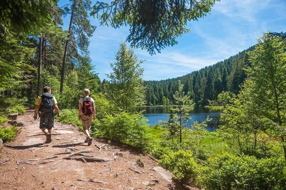 Black Forest, Frankfurt