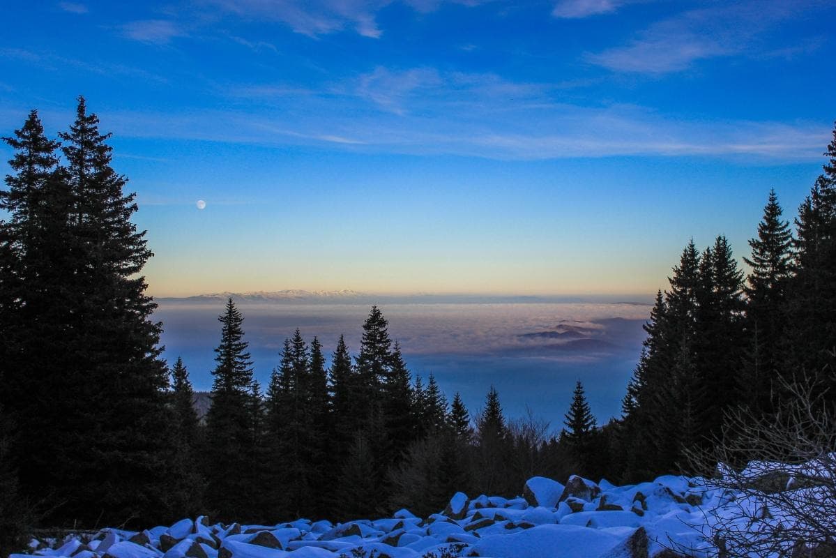 Vitosha Mountain , Sofia