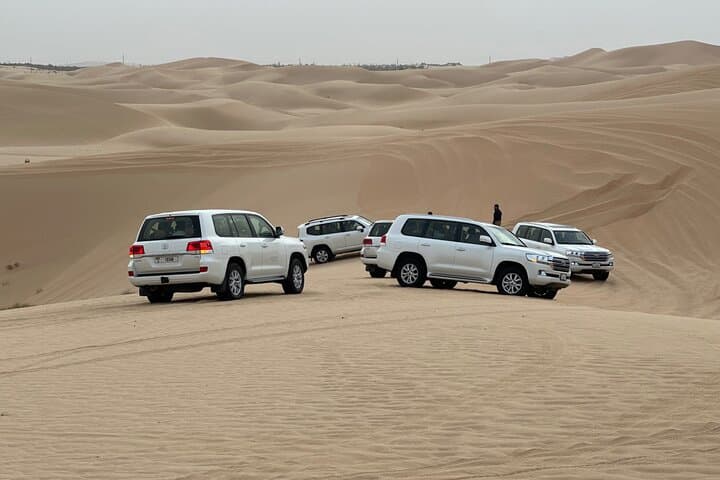 Abu Dhabi evening desert safari with BBQ dinner and live shows — Nature & wildlife things to do in Abu Dhabi