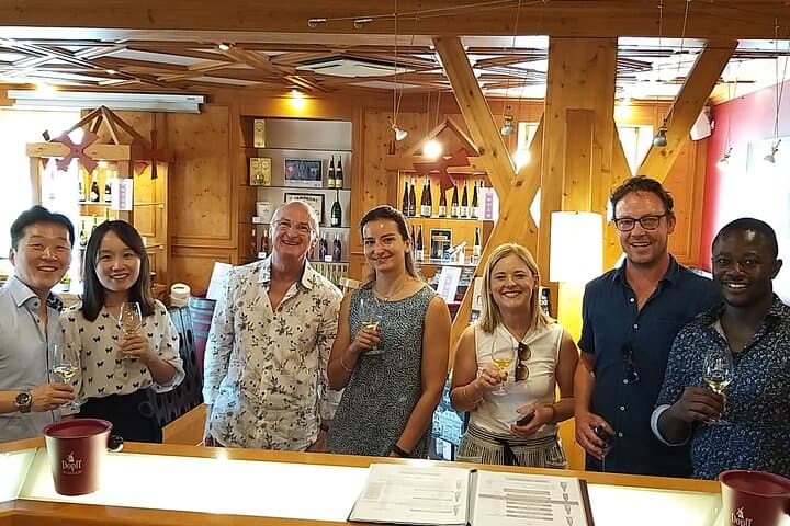 Alsace wine tour and medieval villages. Small group guided tour, Basel