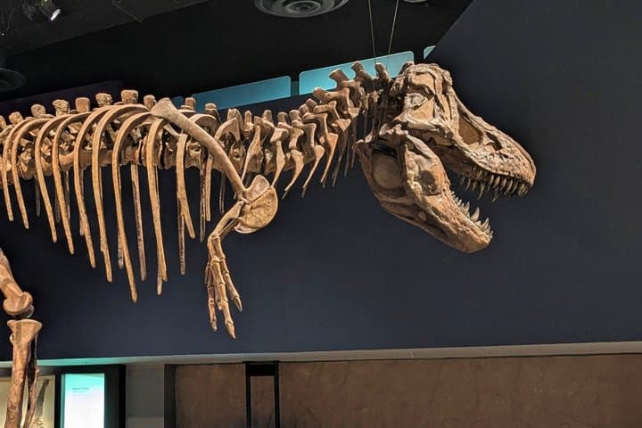 Day trip to Drumheller from Calgary — small group tour, Calgary