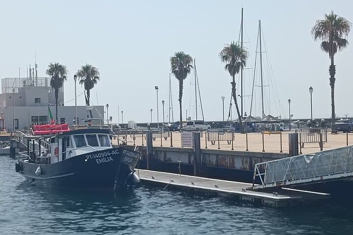 Cascais Coastal Secrets 90 Minute Cruise with Free Wine and Beer, Cascais