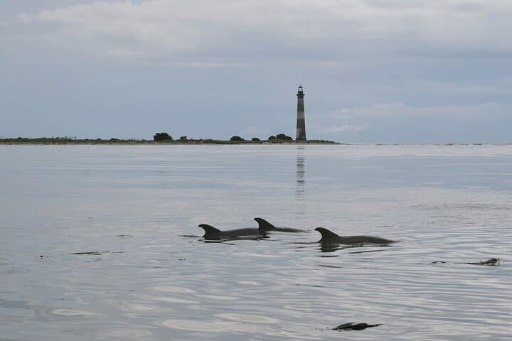 Eco boat cruise to Morris Island from Charleston, Charleston