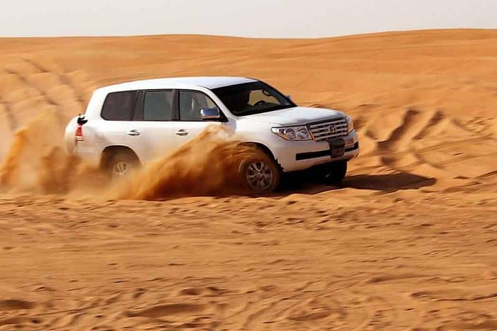 Desert safari experience from Fujairah — Nature & wildlife things to do in Fujairah