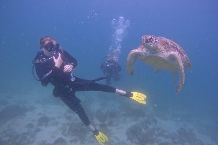 5-dive package with overnight stay in Fujairah — Adventure things to do in Fujairah