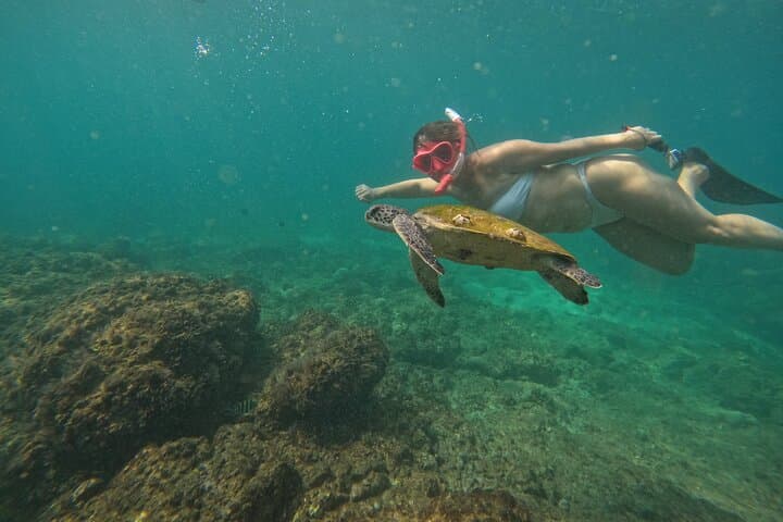 Full-day snorkeling trip in Dibba, Musandam — Kids-friendly things to do in Fujairah