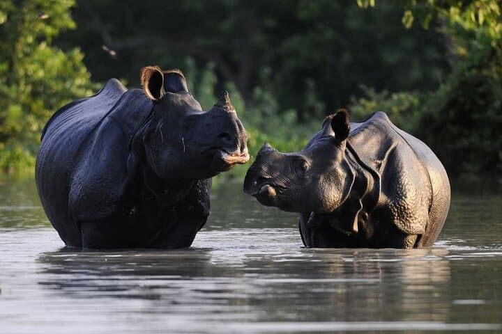 Five-day tour of Guwahati, Kaziranga and Majuli Island, Guwahati