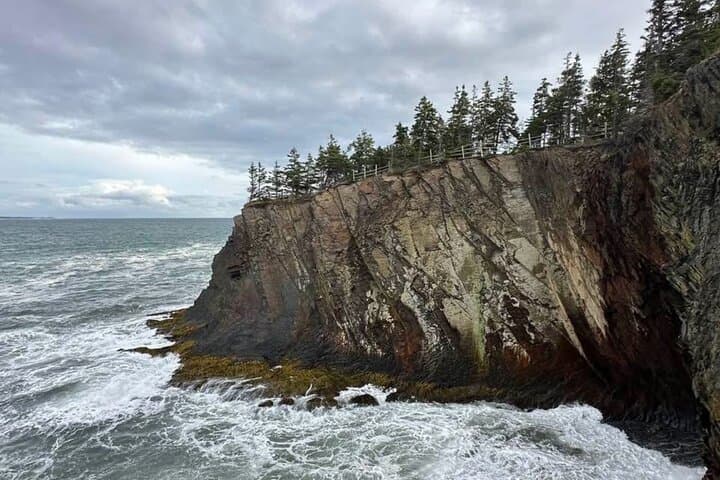 Full-day private tour of Nova Scotia from Halifax, Halifax