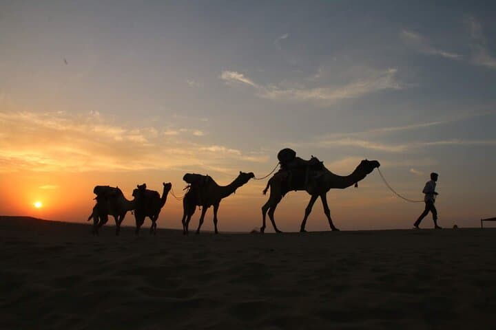 Half-day sunset desert safari in Jaisalmer, Jaisalmer