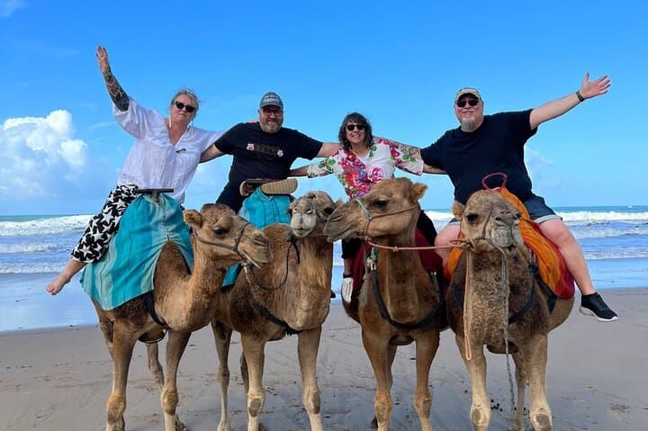 Luxury Tangier Day Trip from Marbella Private Guided Tour, Marbella