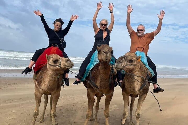 Luxury Tangier Private Day Tour from Marbella All inclusive, Marbella