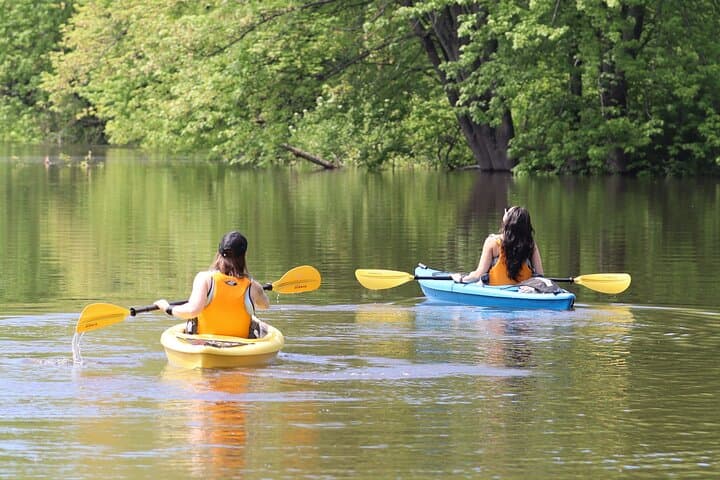 Kayaking tour of Grandmaître Ecological Reserve in Ottawa, Ottawa