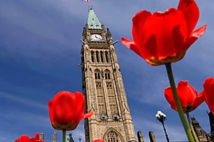 Ottawa Tulip Festival guided photo tour, Ottawa
