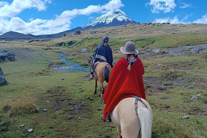 Cotopaxi volcano horseback ride and hike Private tour, Quito