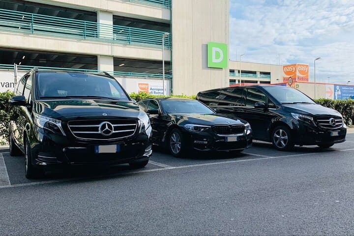 Private Transfer from Rotterdam Cruise Port to Rotterdam hotels, Rotterdam