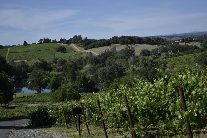 Custom private wine tasting tour in Apple Hill and Placerville, Sacramento