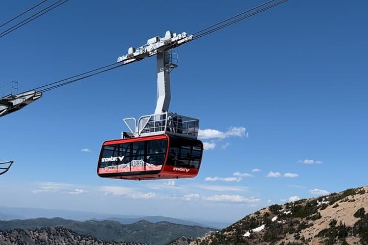 Snowbird Summer Excursion from Salt Lake City, Salt Lake City