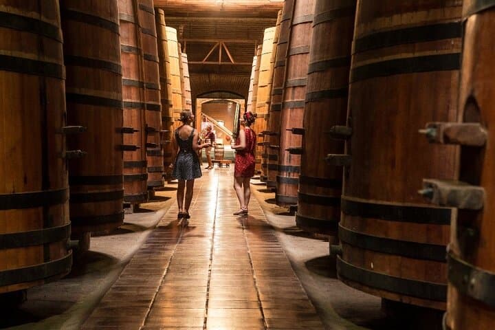 Private San Antonio Port visit Causiño Winery & Transfer to Hotel, San Antonio