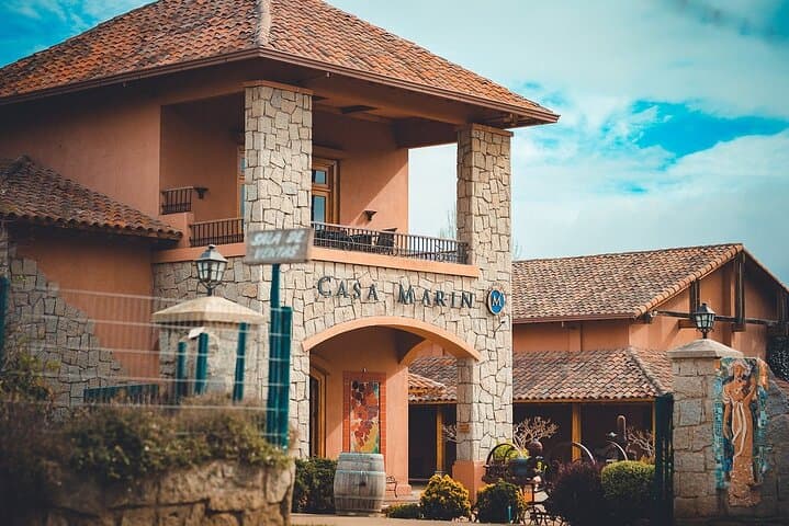Private San Antonio, Visit Casa Marín Winery & Transfer to Hotel, San Antonio