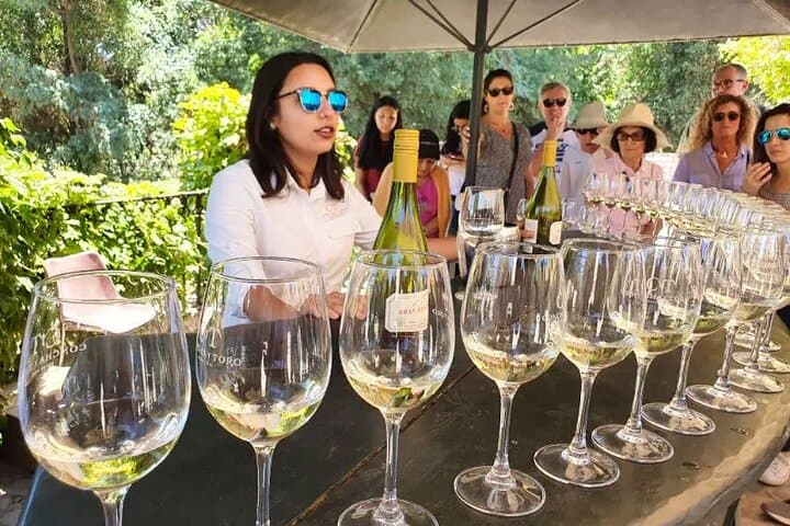 Private San Antonio, Visit Concha y Toro Winery & Transfer hotel, San Antonio