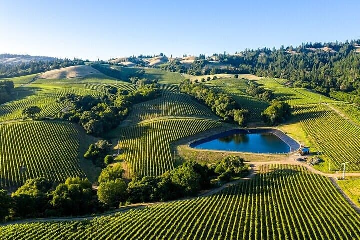 Full-day private Napa and Sonoma wine tour from Cupertino, San Jose