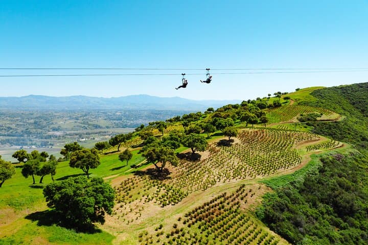 Zipline tour over Santa Ynez Valley near Santa Barbara, Santa Barbara
