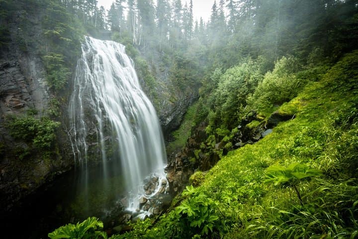 Full-day tour of Mt. Rainier National Park from Seattle, Seattle