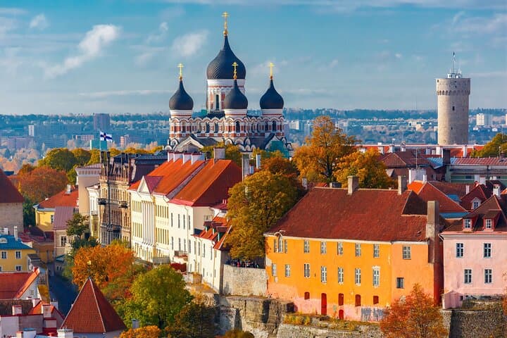 Full Day Private Shore Tour in Tallinn from Tallinn Cruise Port, Tallinn