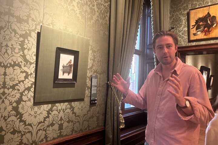 Mauritshuis Museum The Hague - Private Guided Tour with Entry, The Hague