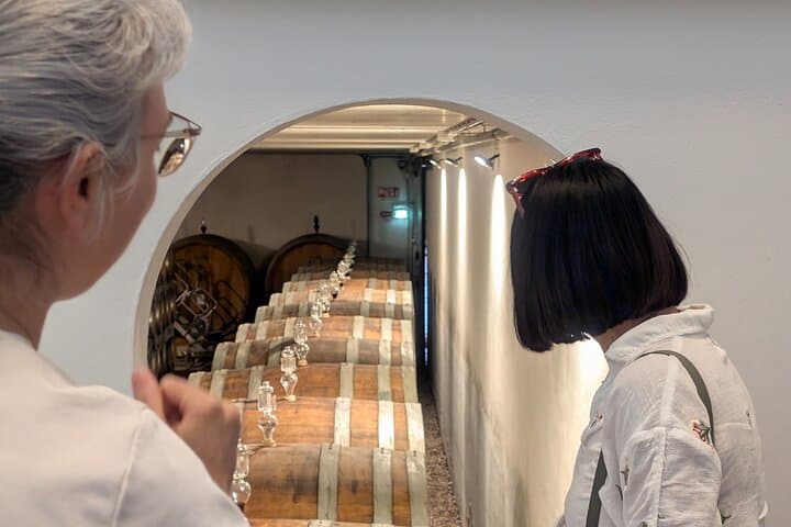With Edo - Private Barolo Without the Crowds · From Turin, Turin