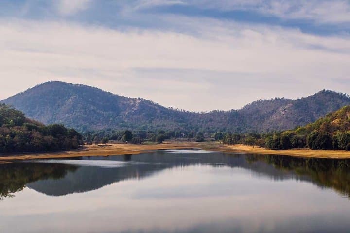 Jambughoda Wildlife and Tribal Cultural Tour from Vadodara, Vadodara