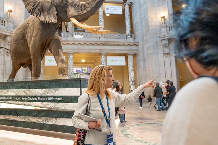 Guided highlights tour of the Smithsonian's Big 3 museums, Washington DC