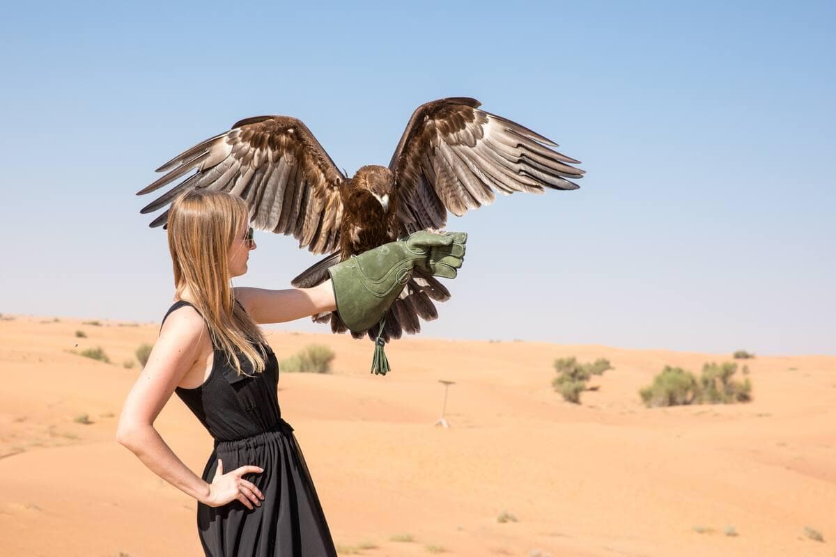 Dubai Desert Conservation Reserve (DDCR) — places to visit in Dubai