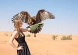 Dubai Desert Conservation Reserve (DDCR) in Dubai — view 2