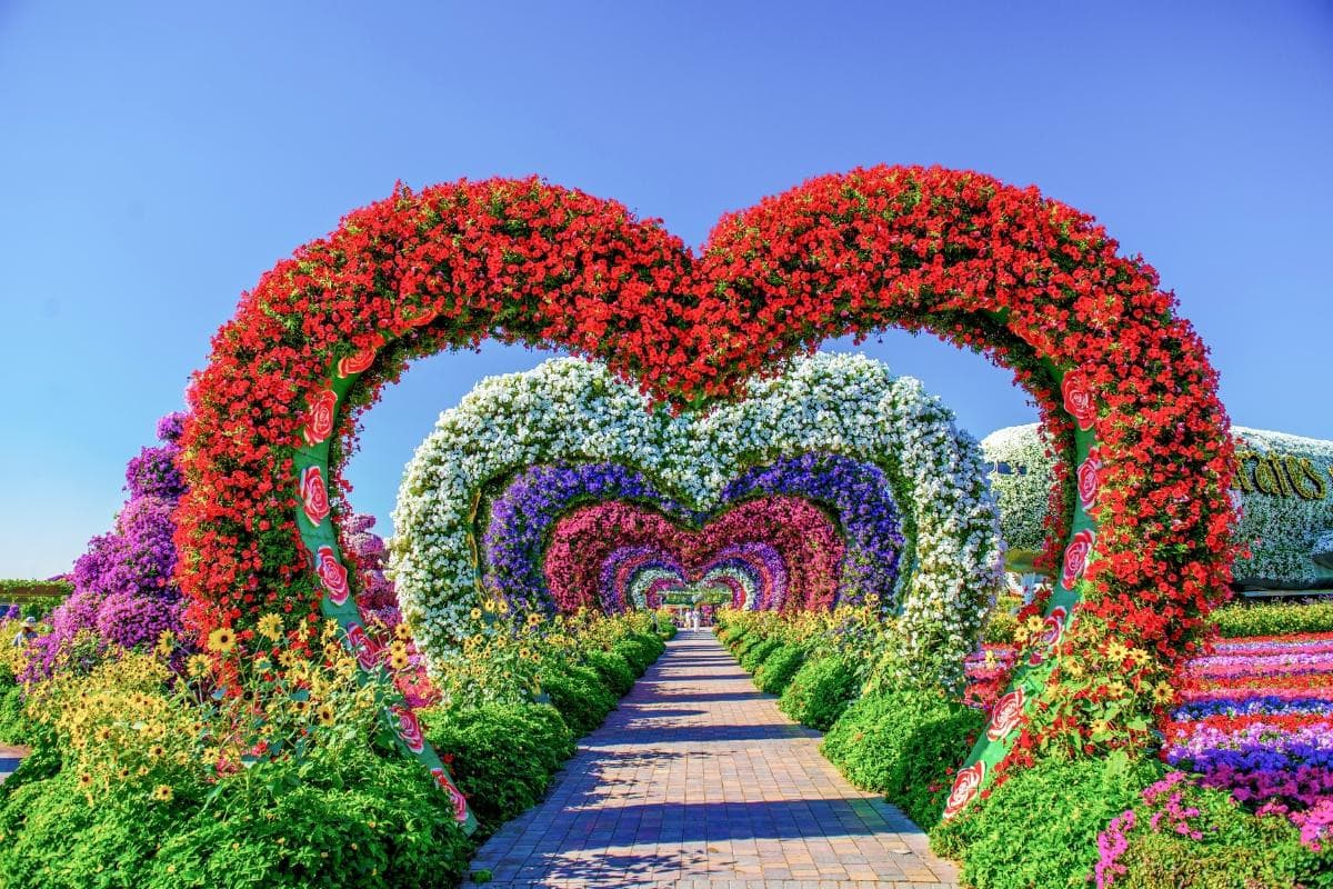 Dubai Miracle Garden — places to visit in Dubai